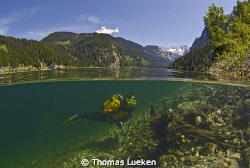 found in the Gosausee; D200 by Thomas Lueken 